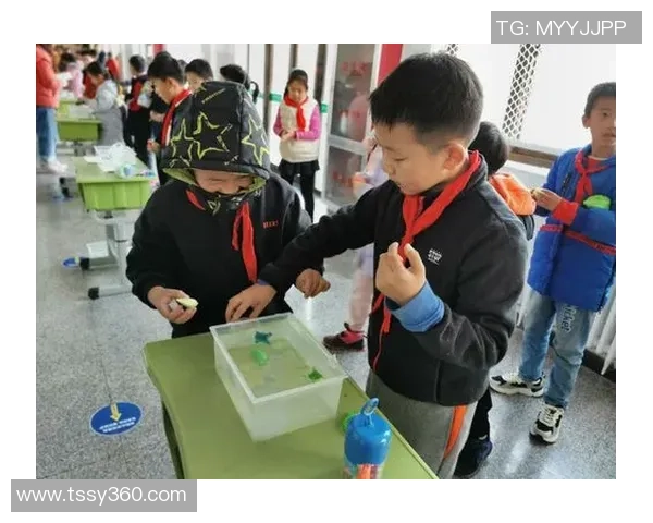 专访杨芳：探寻足球领域成功背后的秘密与智慧