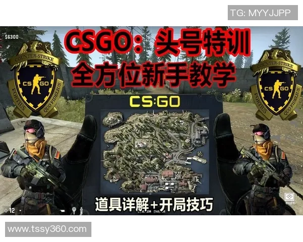 从零起步到高手之路CSGO全方位速度提升攻略分享