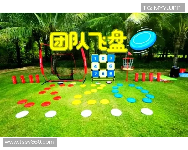 广州飞盘队配合表现数据分析揭示团队协作与战术执行的关键因素 广州飞盘队配合表现数据分析揭示团队协作与战术执行的关键因素